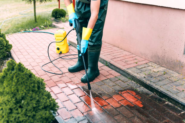 Best Vinyl Siding Pressure Washing in Mondovi, WI